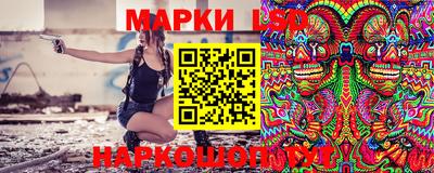 гидропоника Дубна