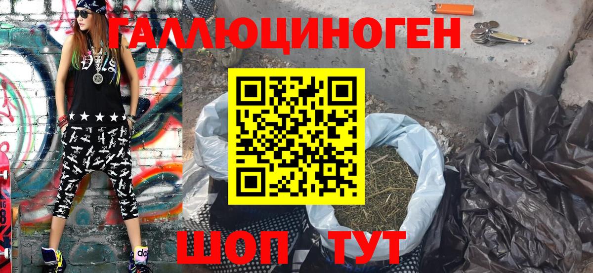 Псилоцибиновые грибы Psilocybe Набережные Челны